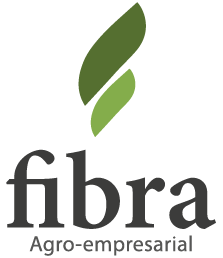 Fibra - Identidade Visual - Logotipo - Buffo Design - Goiânia
