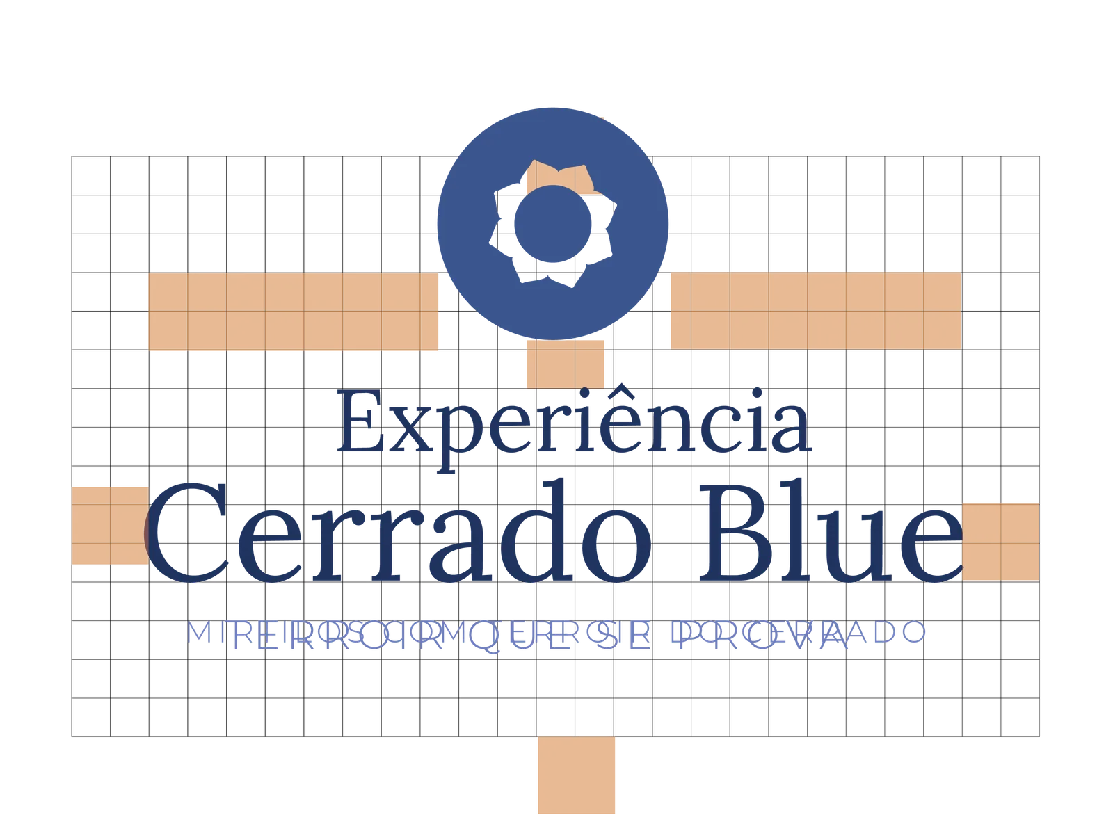 Grid de construção da assinatura Experiência Cerrado Blue