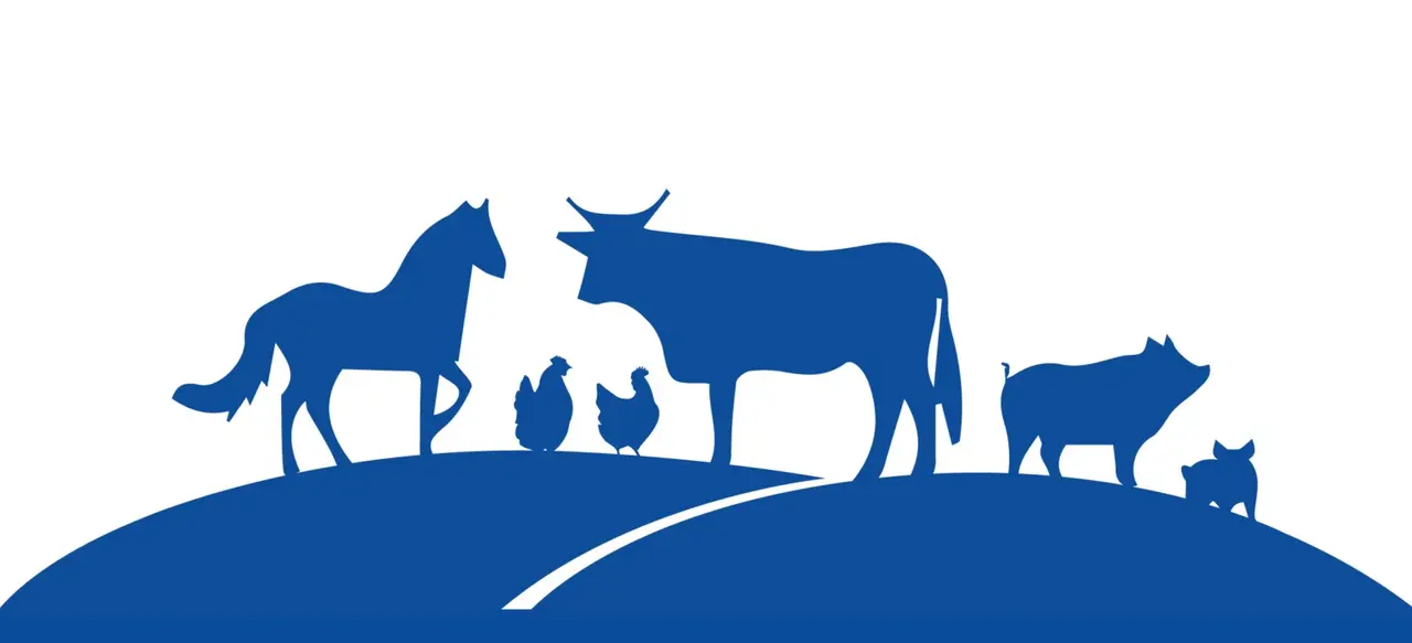Agropaulista – ilustração – silhueta de animais da fazenda