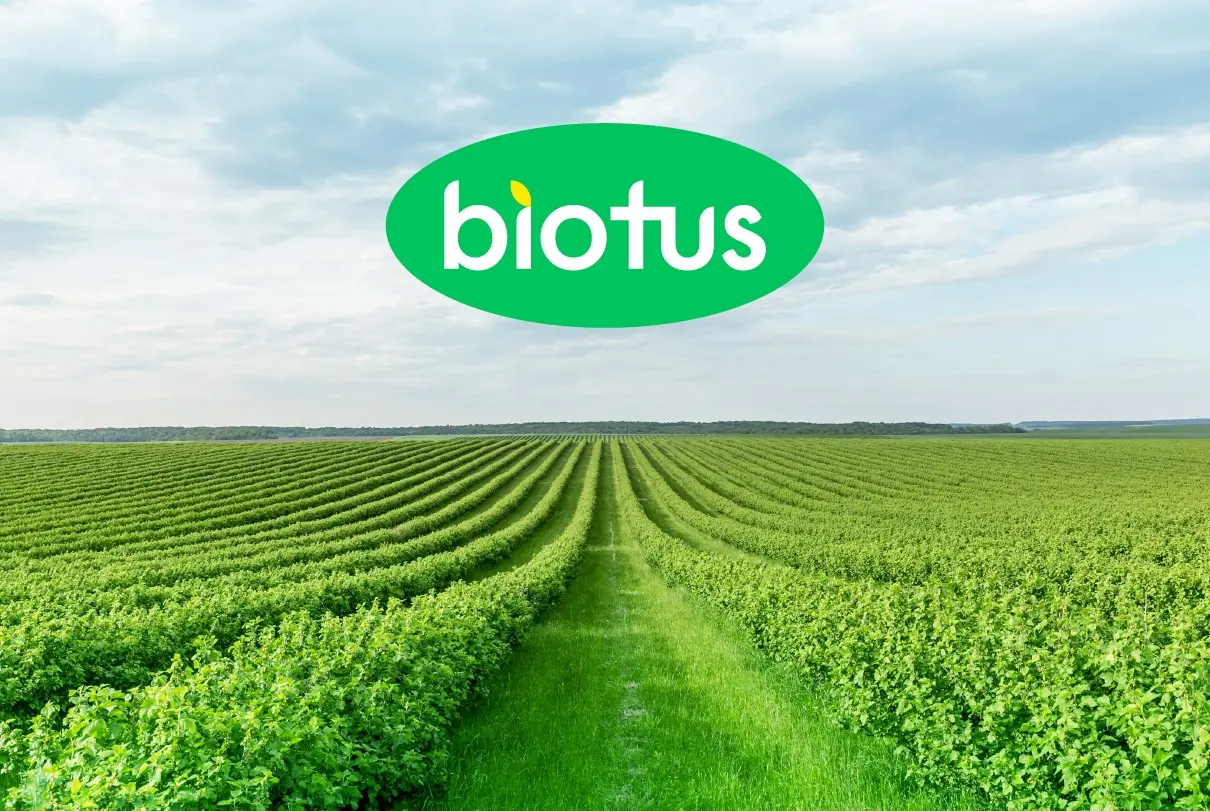 Biotus - Criação de marcas - Identidade Visual - Logotipo