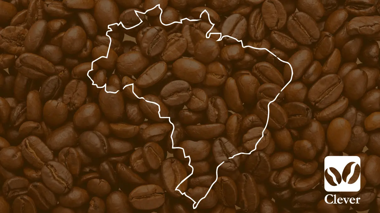 Criação de embalagens - Rótulo de café - Embalagem
