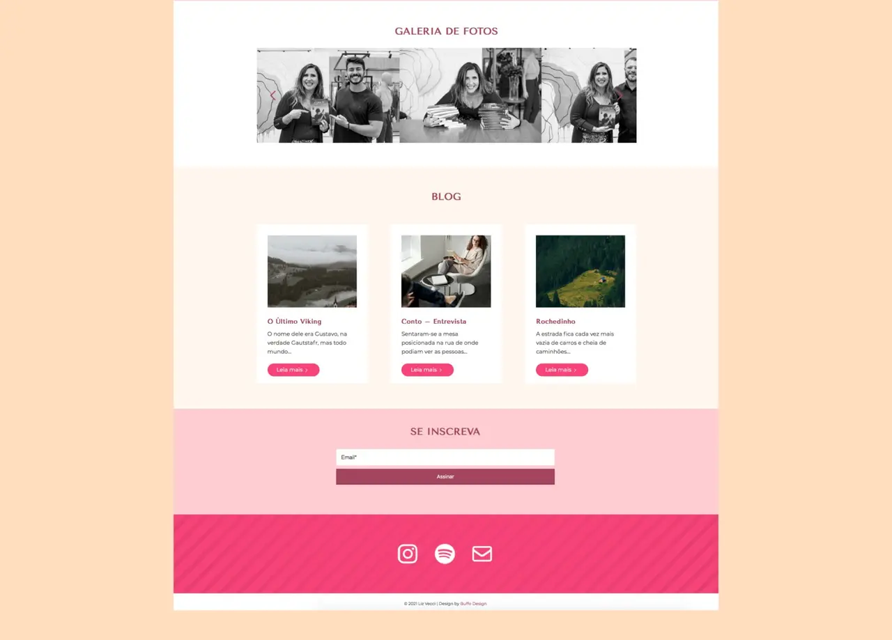 Liz Vecci – website – galeria, blog e newsletter